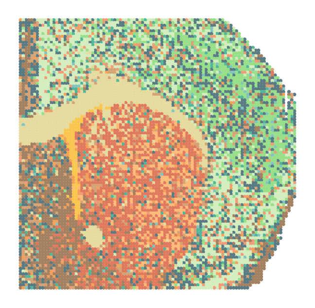 ../../_images/Reproduction_Mouse_Brain_Datasets_2_Spatial_Domain_7_4.png