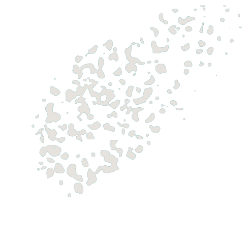 ../../_images/Reproduction_Mouse_Spleen_Datasets_1_Histological_Validation_8_3.png
