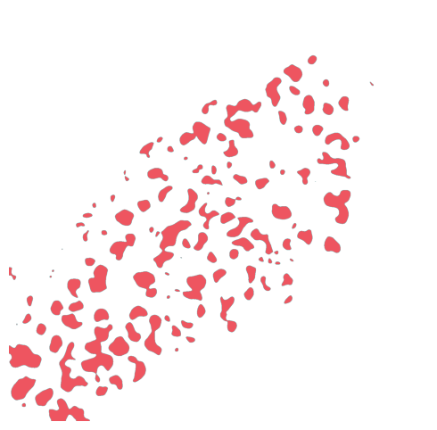 ../../_images/Reproduction_Mouse_Spleen_Datasets_1_Histological_Validation_8_5.png