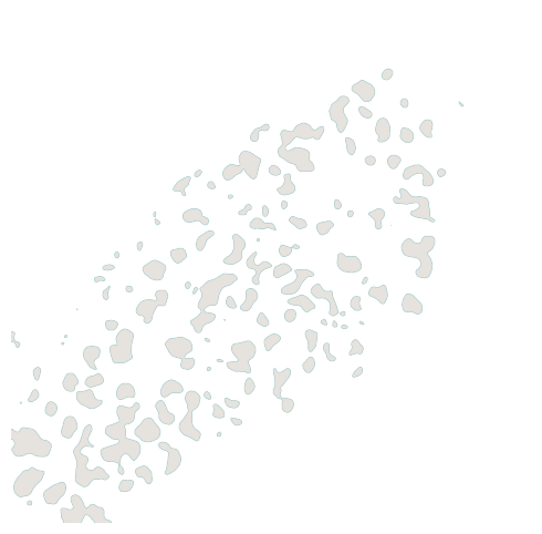 ../../_images/Reproduction_Mouse_Spleen_Datasets_1_Histological_Validation_8_7.png