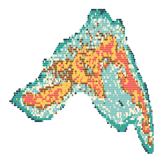 ../../_images/Reproduction_Mouse_Thymus_Datasets_4_Spatial_Domain_8_0.png