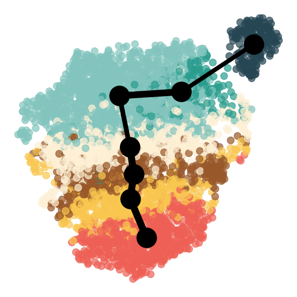 ../../_images/Reproduction_Mouse_Thymus_Datasets_7_Trajectory_Inference_14_17.png