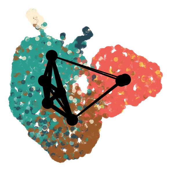 ../../_images/Reproduction_Mouse_Thymus_Datasets_7_Trajectory_Inference_14_21.png