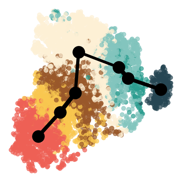 ../../_images/Reproduction_Mouse_Thymus_Datasets_7_Trajectory_Inference_14_9.png